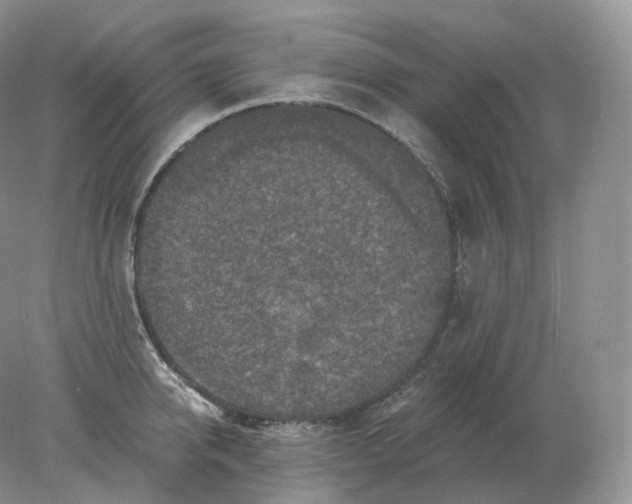 X0000078300950200611172145