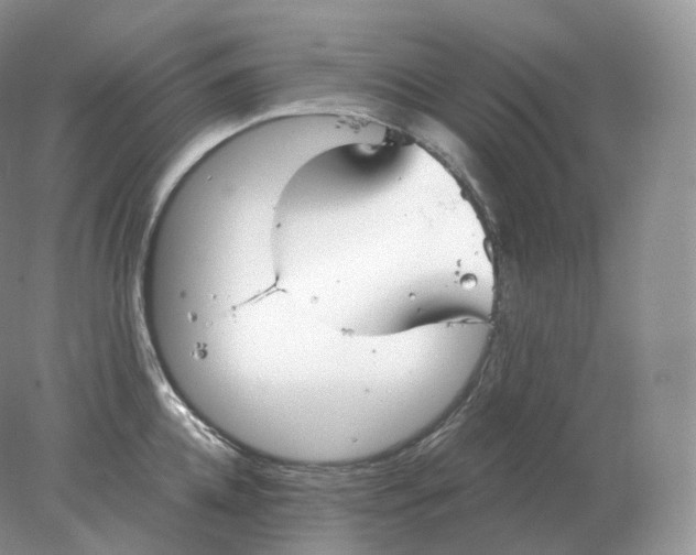 X0000078300952200611172145