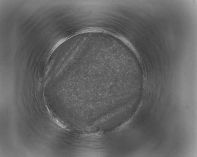 X0000078300953200611172145