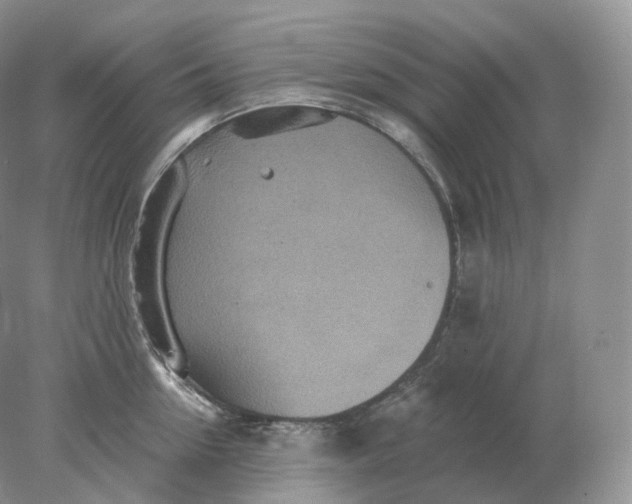 X0000078300954200611172145