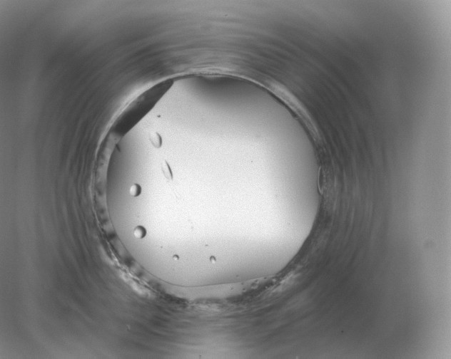 X0000078300956200611172145