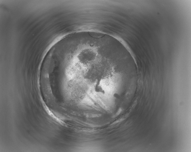 X0000078300957200611172145