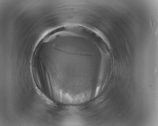 X0000078300958200611172145