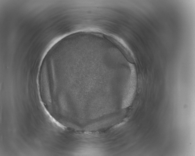 X0000078300959200611172145