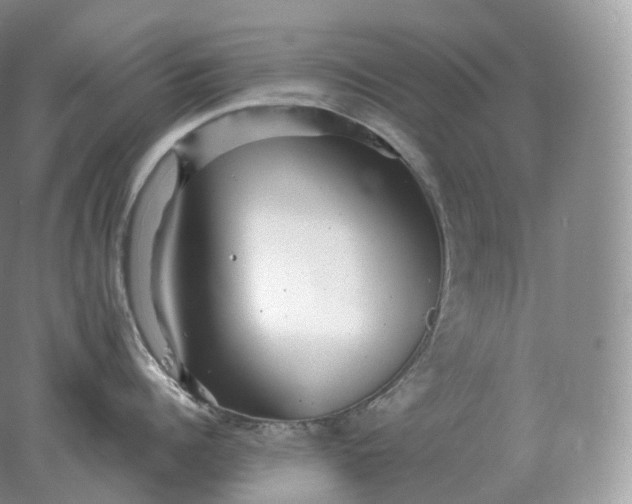 X0000078300960200611172145