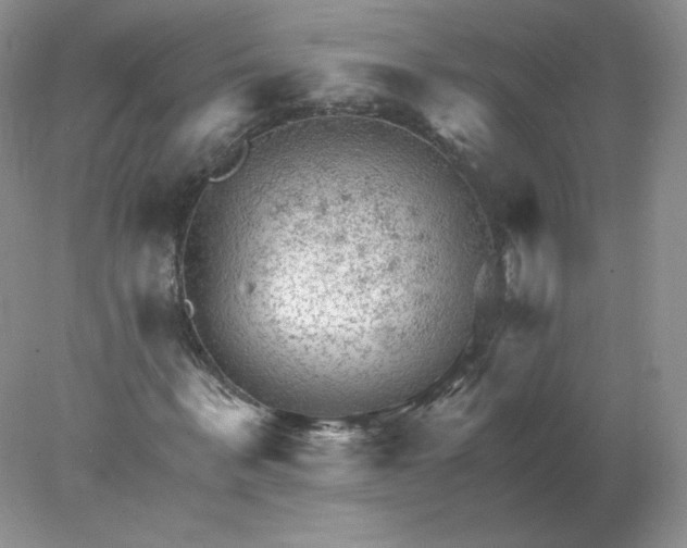 X0000078300963200611172144