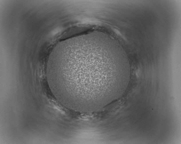 X0000078300965200611172144