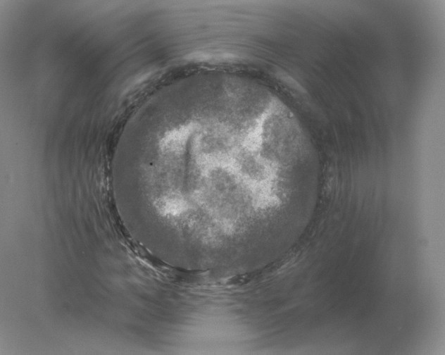 X0000078300966200611172144