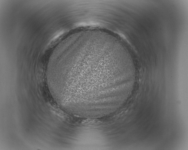 X0000078300967200611172144