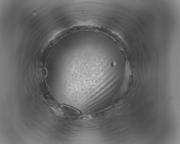 X0000078300968200611172144