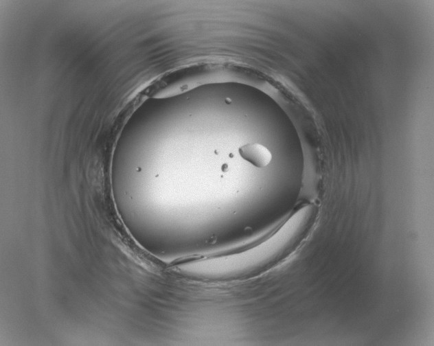 X0000078300969200611172144