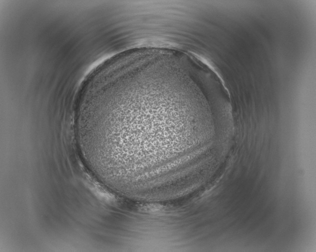 X0000078300971200611172144