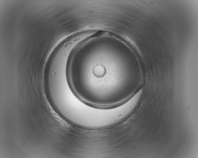 X0000078300976200611172144