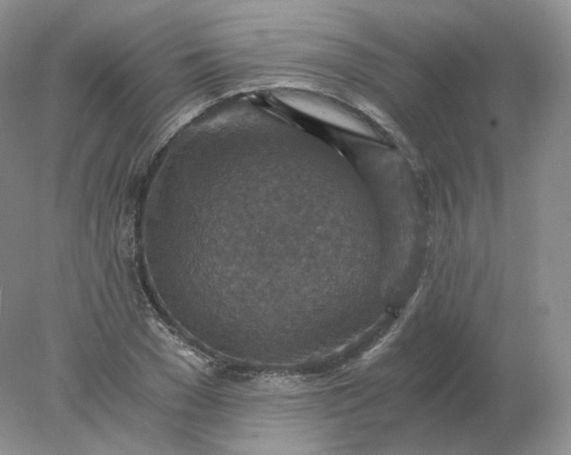 X0000078300977200611172144