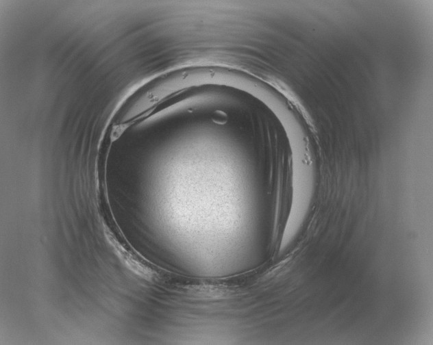 X0000078300980200611172144