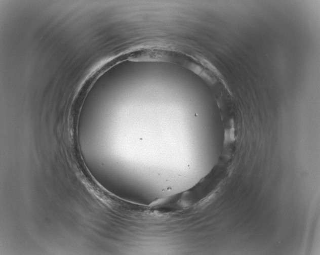 X0000078300981200611172144