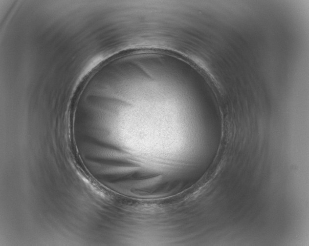 X0000078300982200611172144