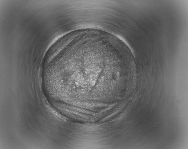 X0000078300983200611172144