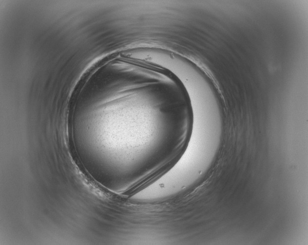 X0000078300984200611172144