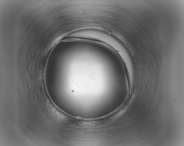 X0000078300985200611172144