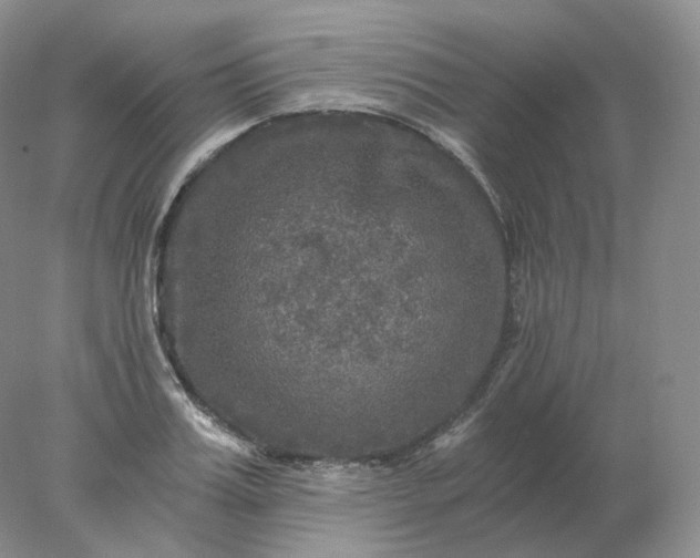 X0000078300987200611172144