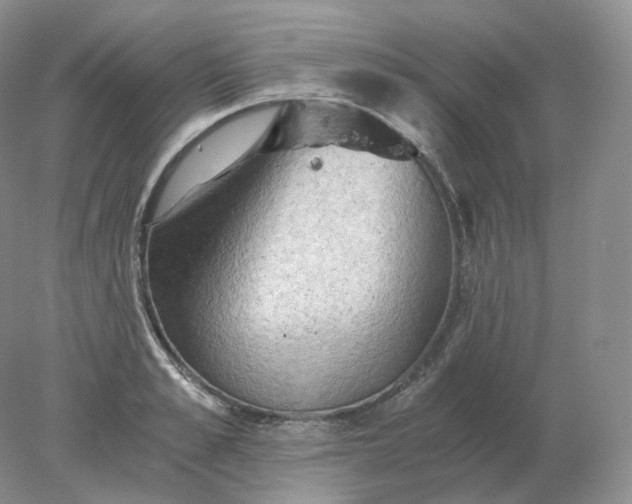 X0000078300989200611172144