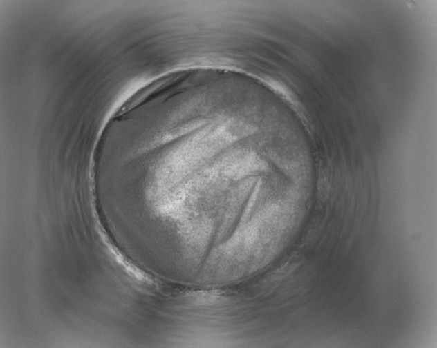 X0000078300990200611172144