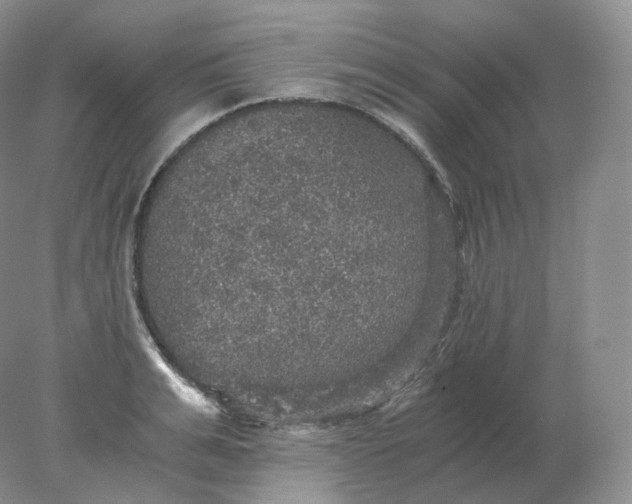 X0000078300991200611172144