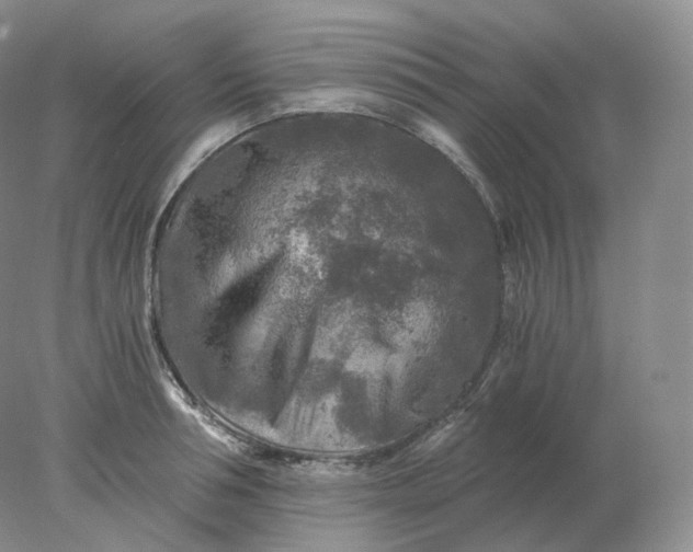 X0000078300994200611172143