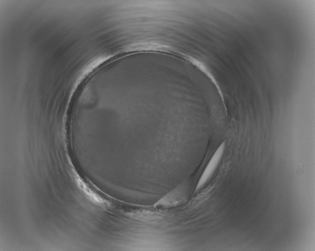 X0000078300995200611172143