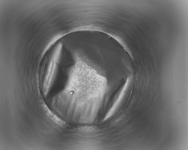 X0000078300998200611172143