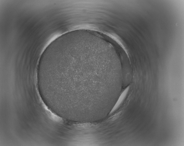 X0000078300999200611172143