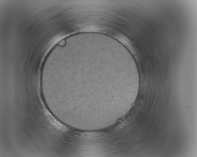 X0000078301000200611172143