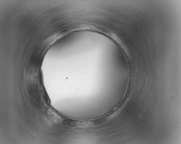 X0000078301001200611172143