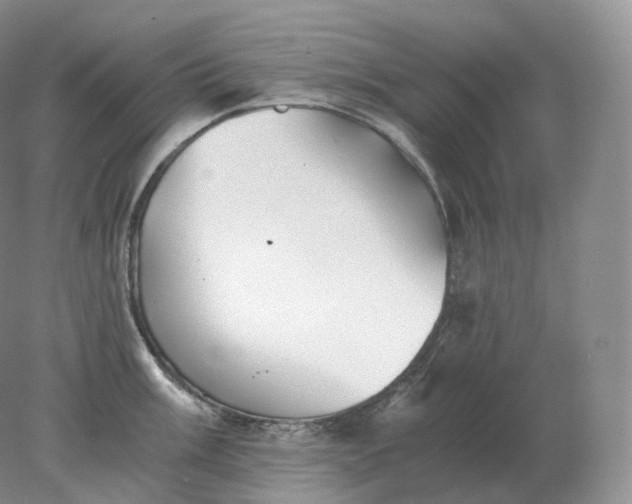 X0000078301003200611172143