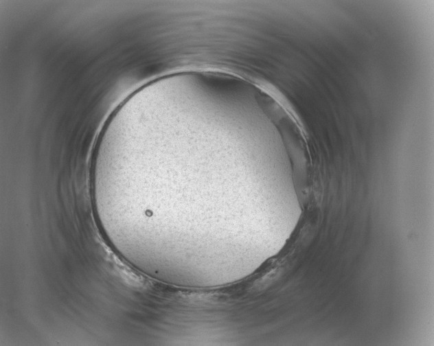 X0000078301004200611172143