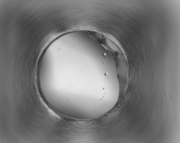 X0000078301005200611172143