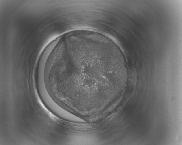 X0000078301007200611172143