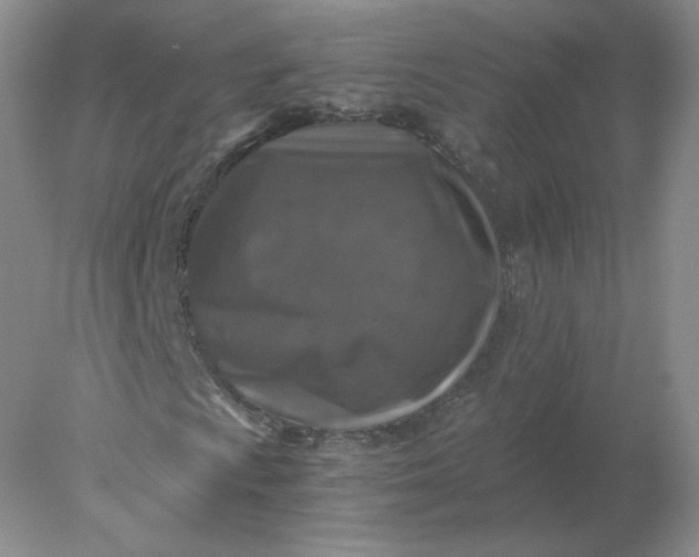 X0000078301009200611172142