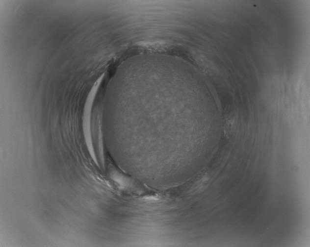 X0000078301010200611172142