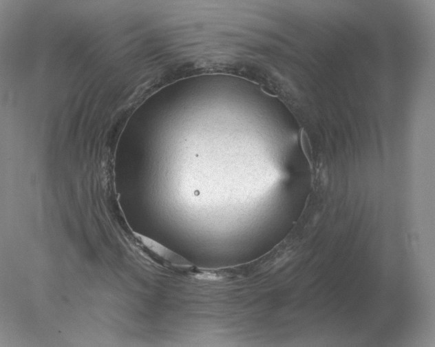 X0000078301012200611172142