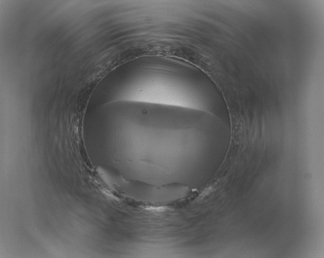 X0000078301013200611172142