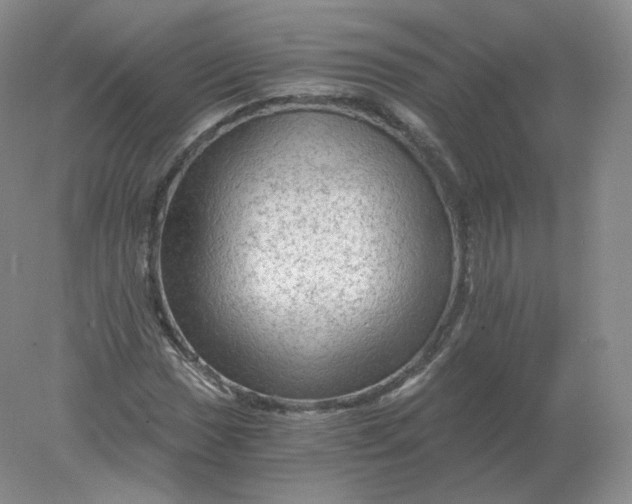 X0000078301017200611172143