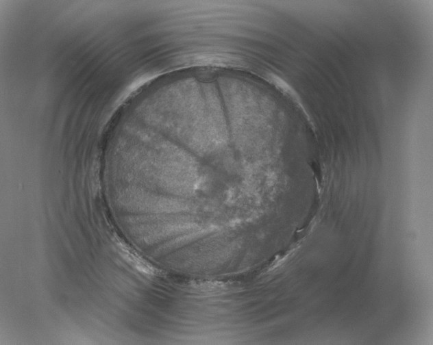 X0000078301019200611172143