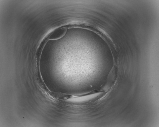 X0000078301021200611172143