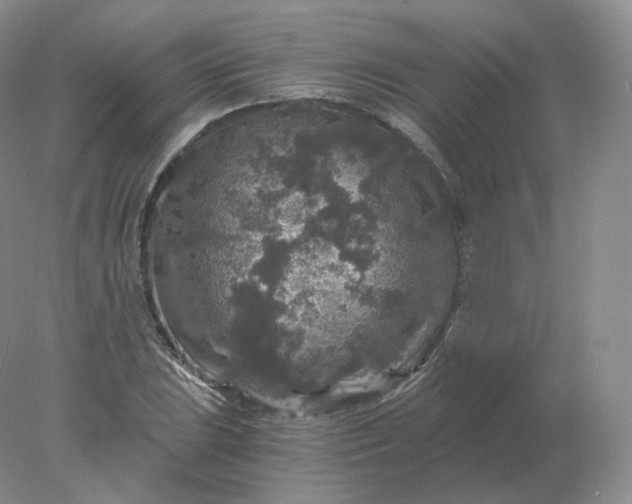 X0000078301023200611172143