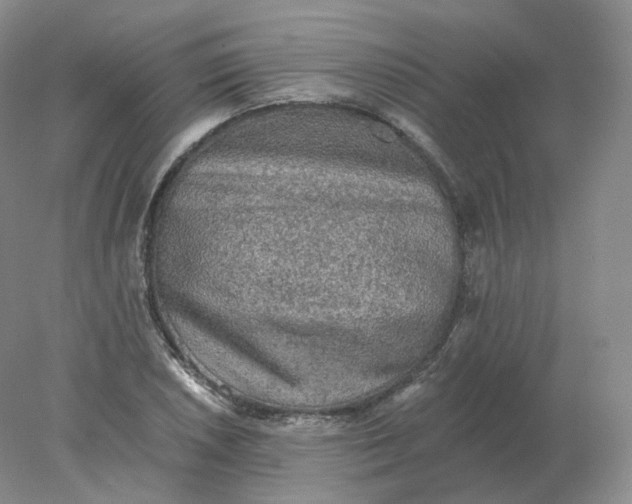 X0000078301026200611172143