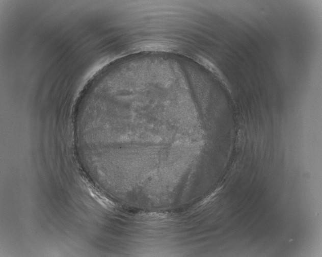 X0000078301027200611172143