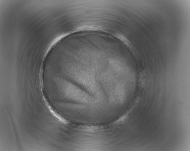 X0000078301030200611172143