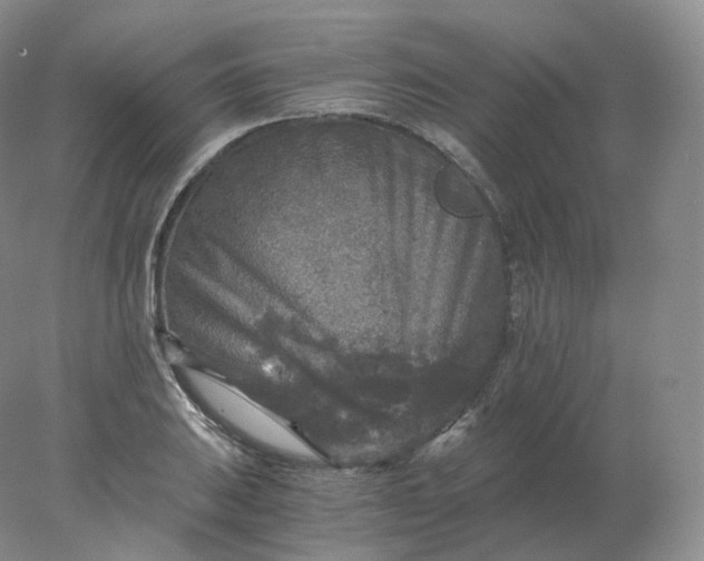 X0000078301031200611172143